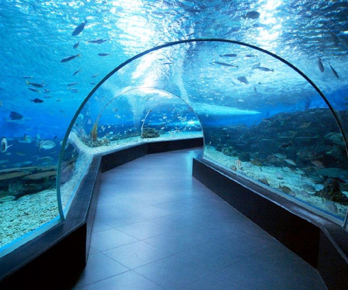 Manila Ocean Park