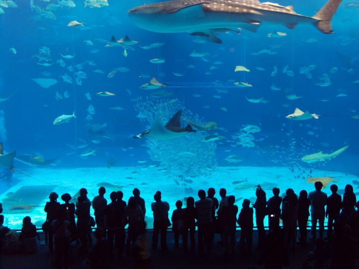 Manila Ocean Park