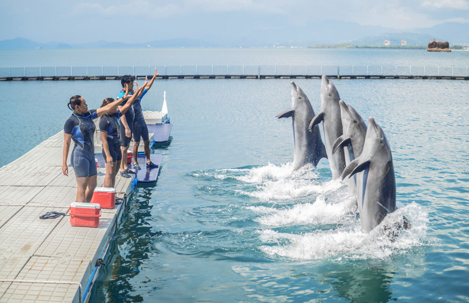 Ocean Adventure