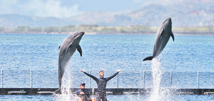 Ocean Adventure