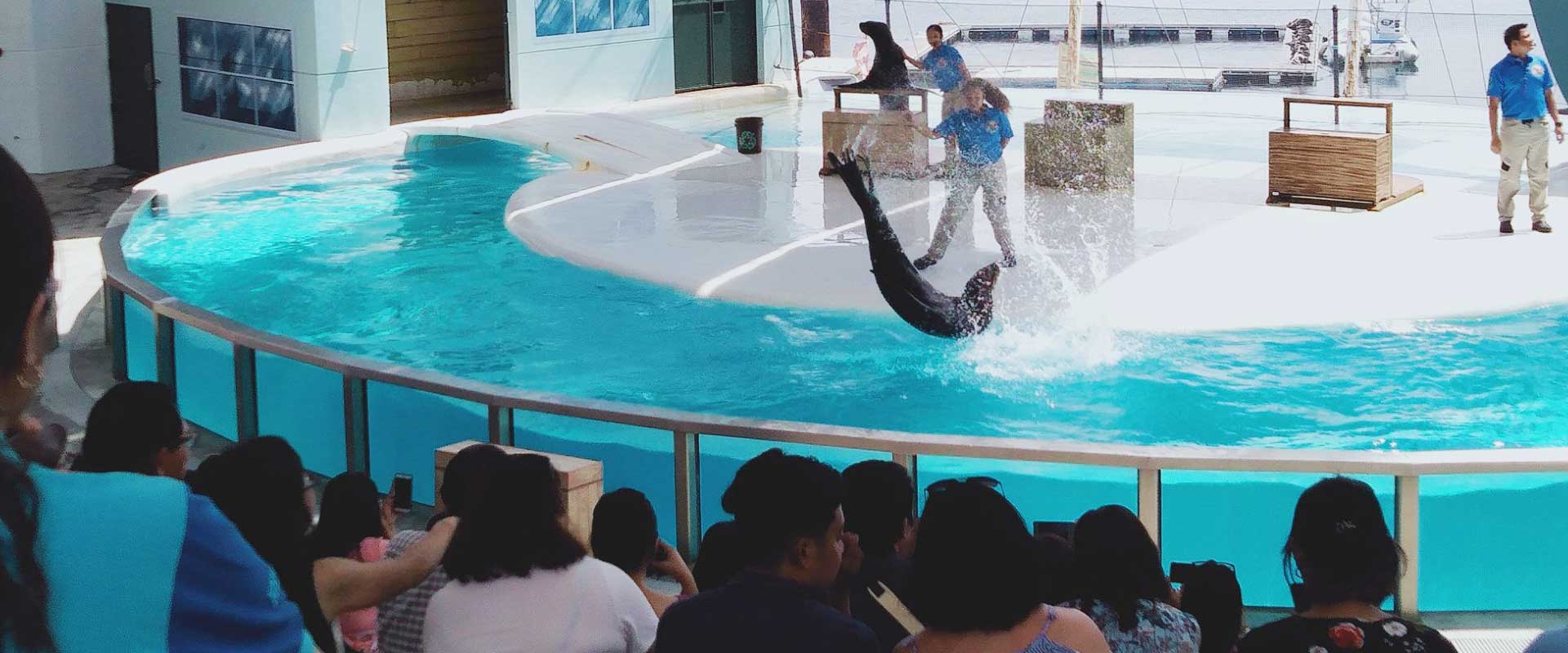Ocean Adventure
