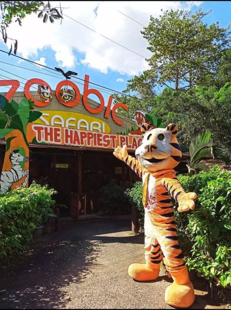 Zoobic Safari