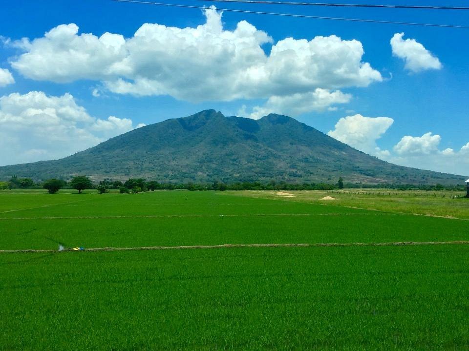 Mount Arayat