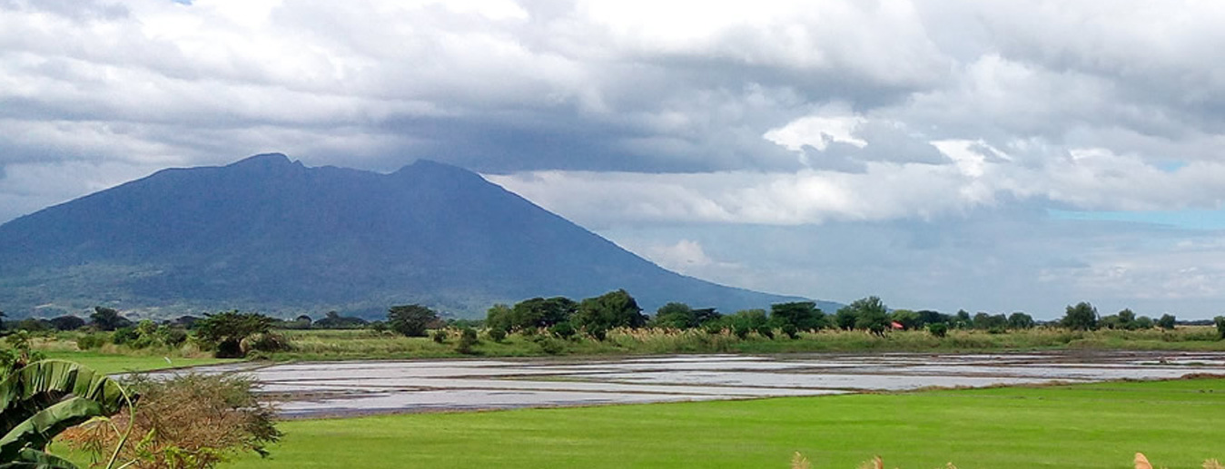 Mount Arayat