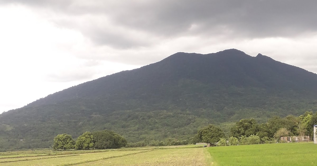 Mount Arayat