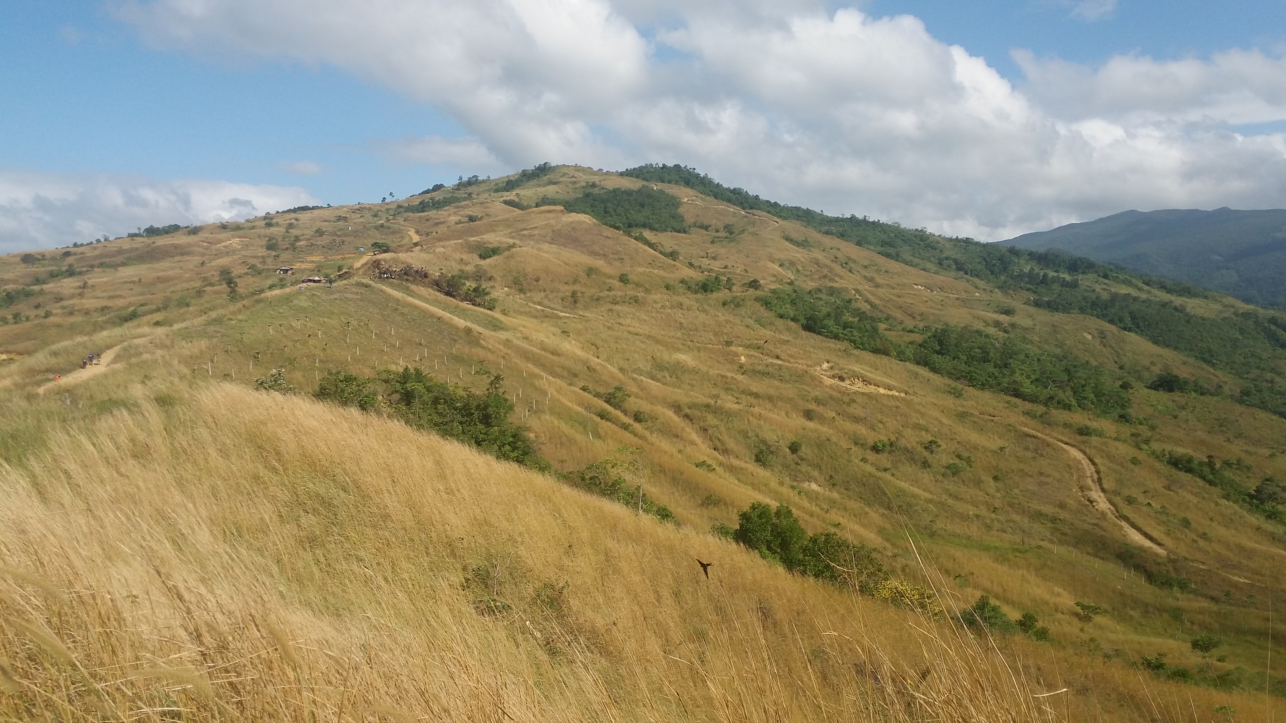 Mount Balagbag