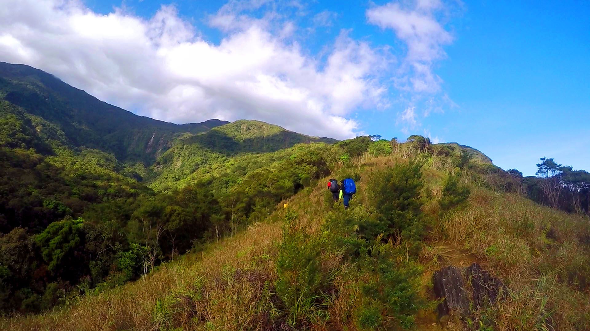 Mount Halcon