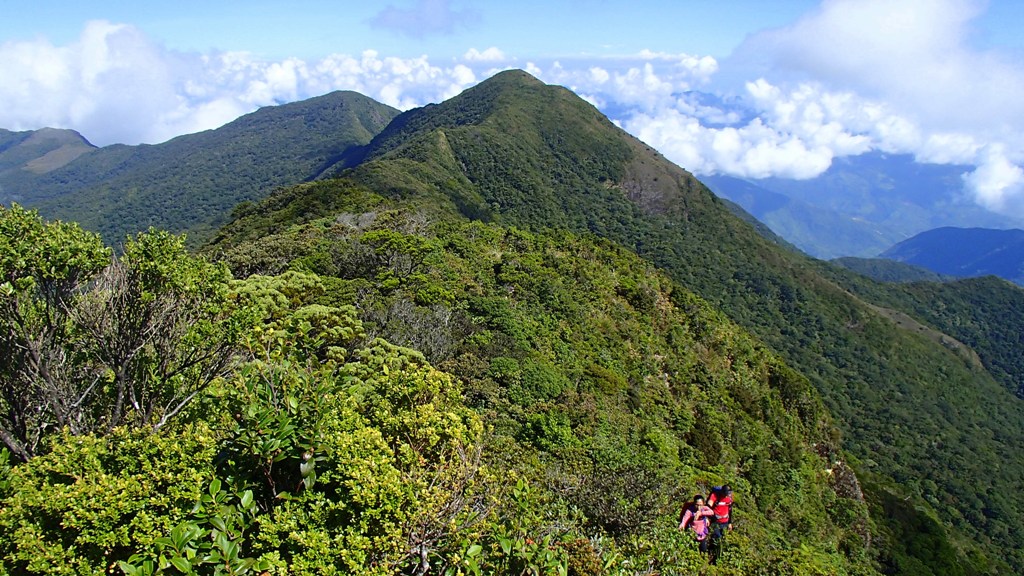 Mount Halcon