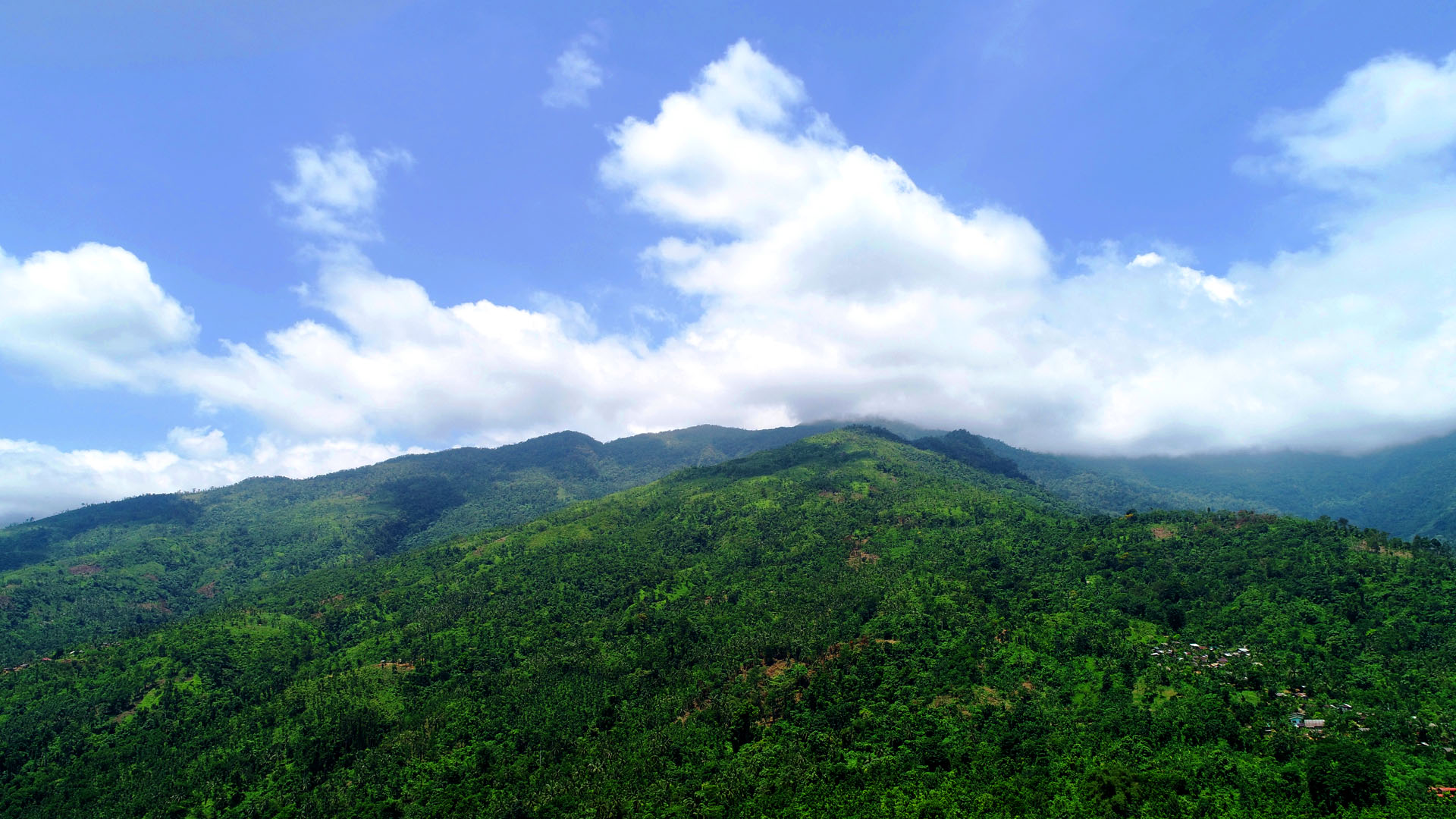 Mount Halcon
