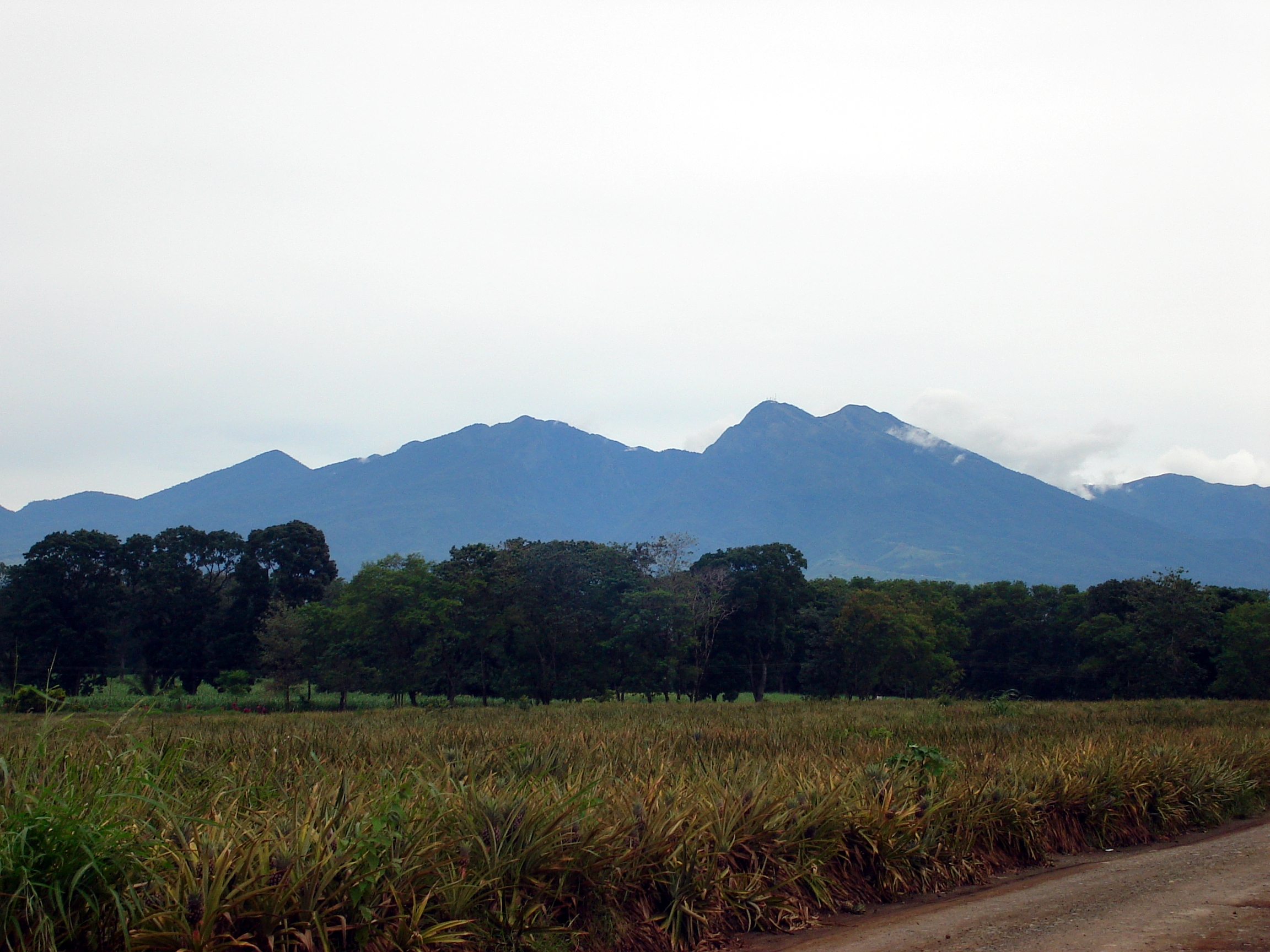 Mount Kitanglad
