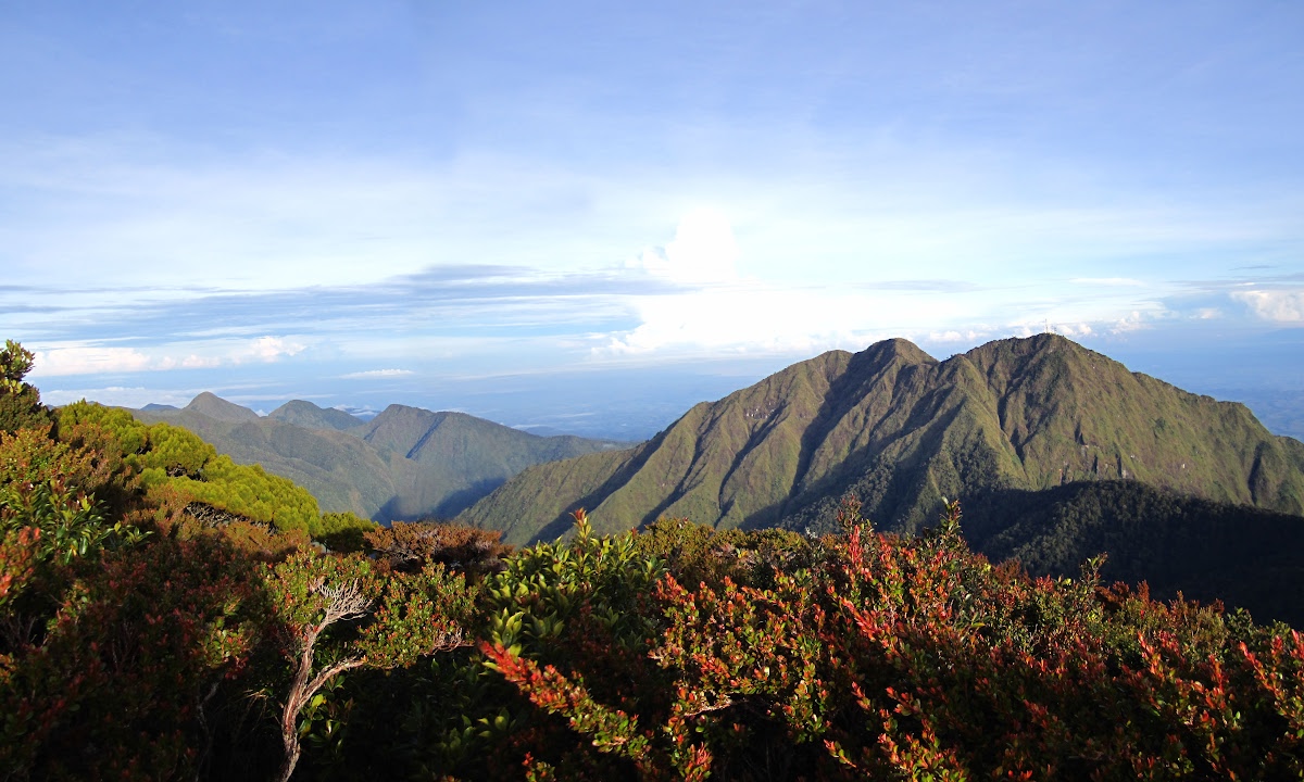 Mount Kitanglad