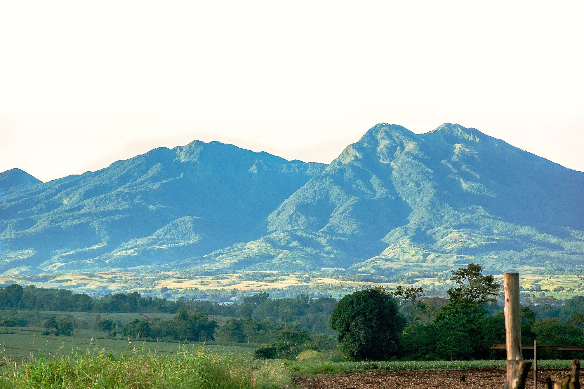 Mount Kitanglad