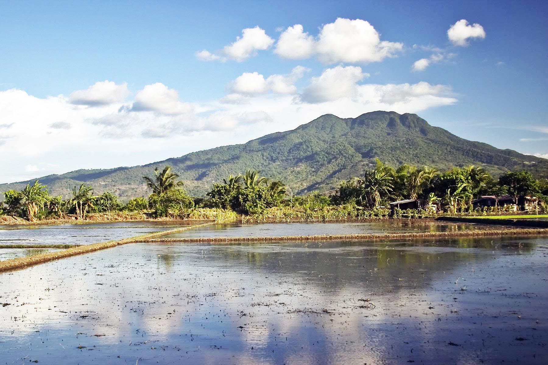 Mount Makiling