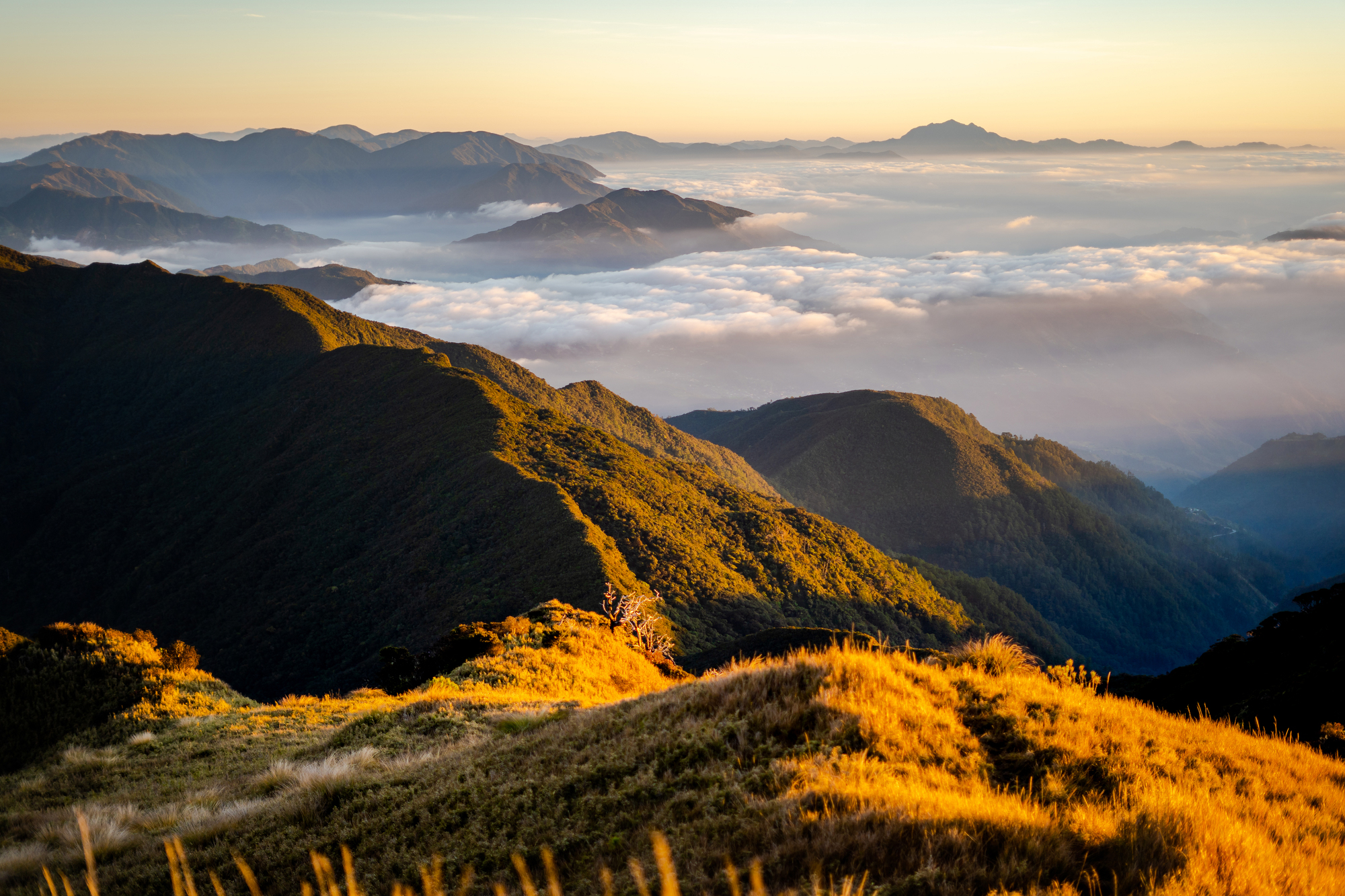 Mount Pulag