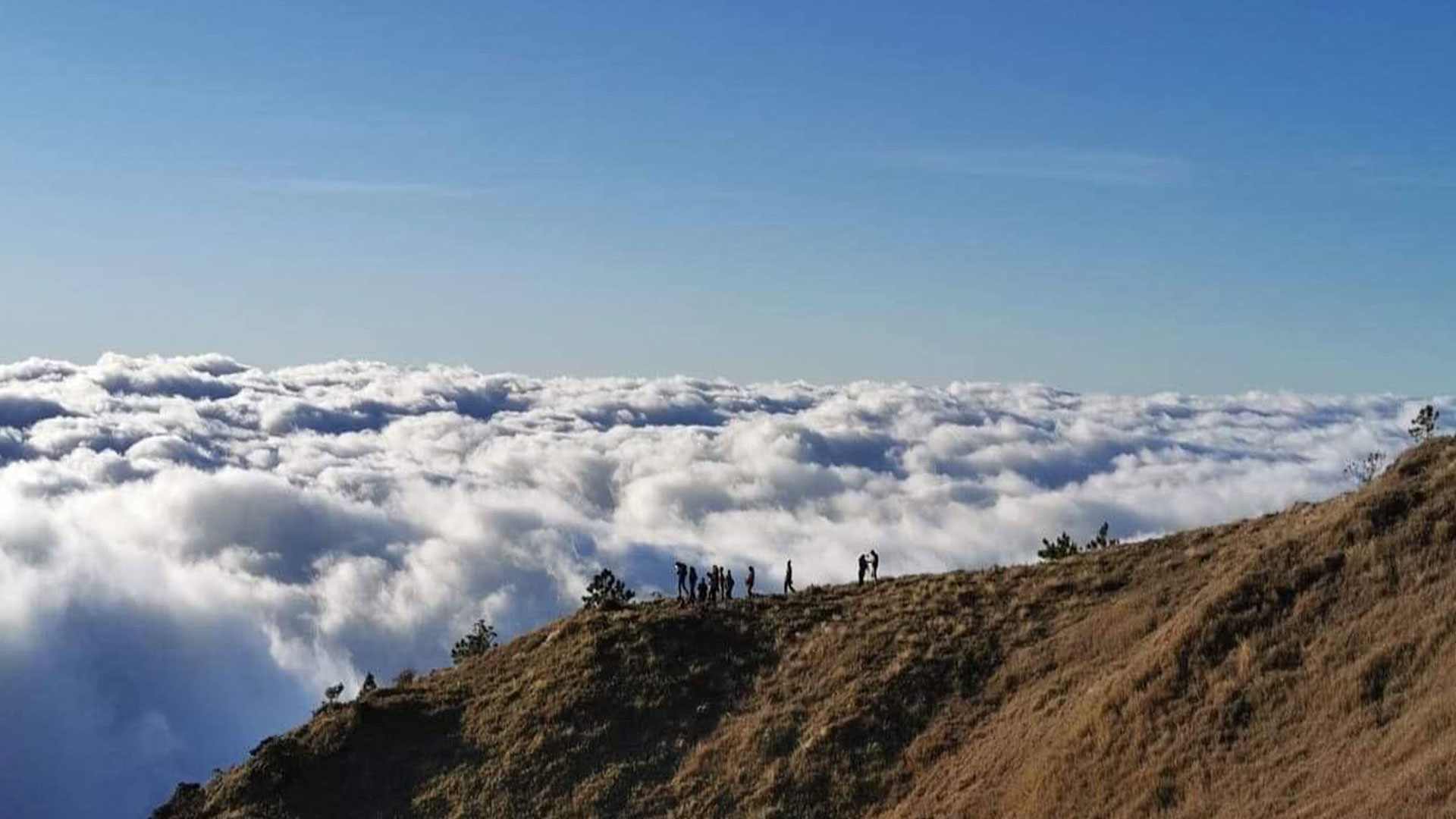 Mount Pulag