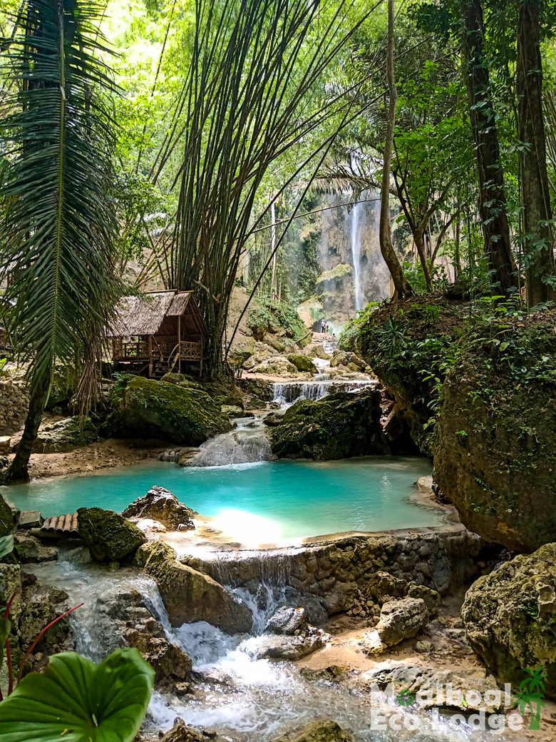 Tumalog Falls